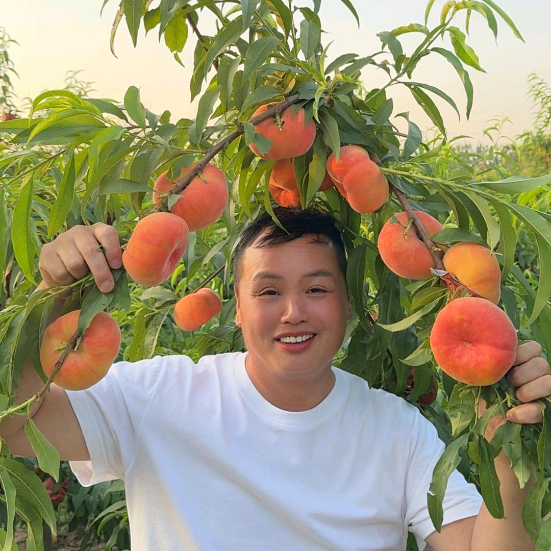 靠技术种果树（黄永）