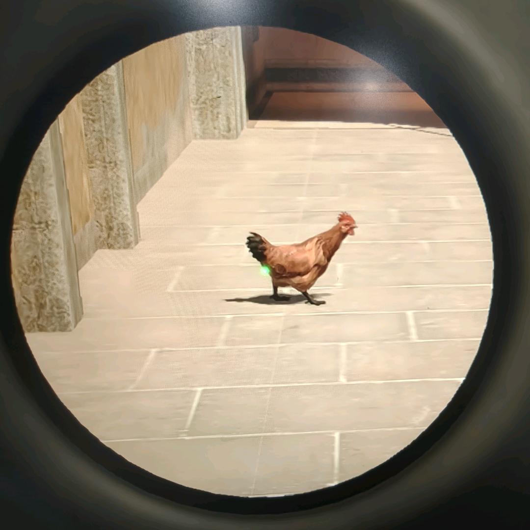 踏雪寻梅捡牛屎