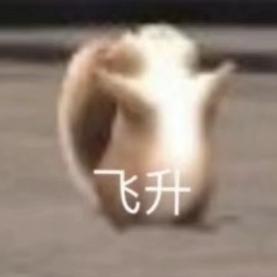 专业知识略知零点一二