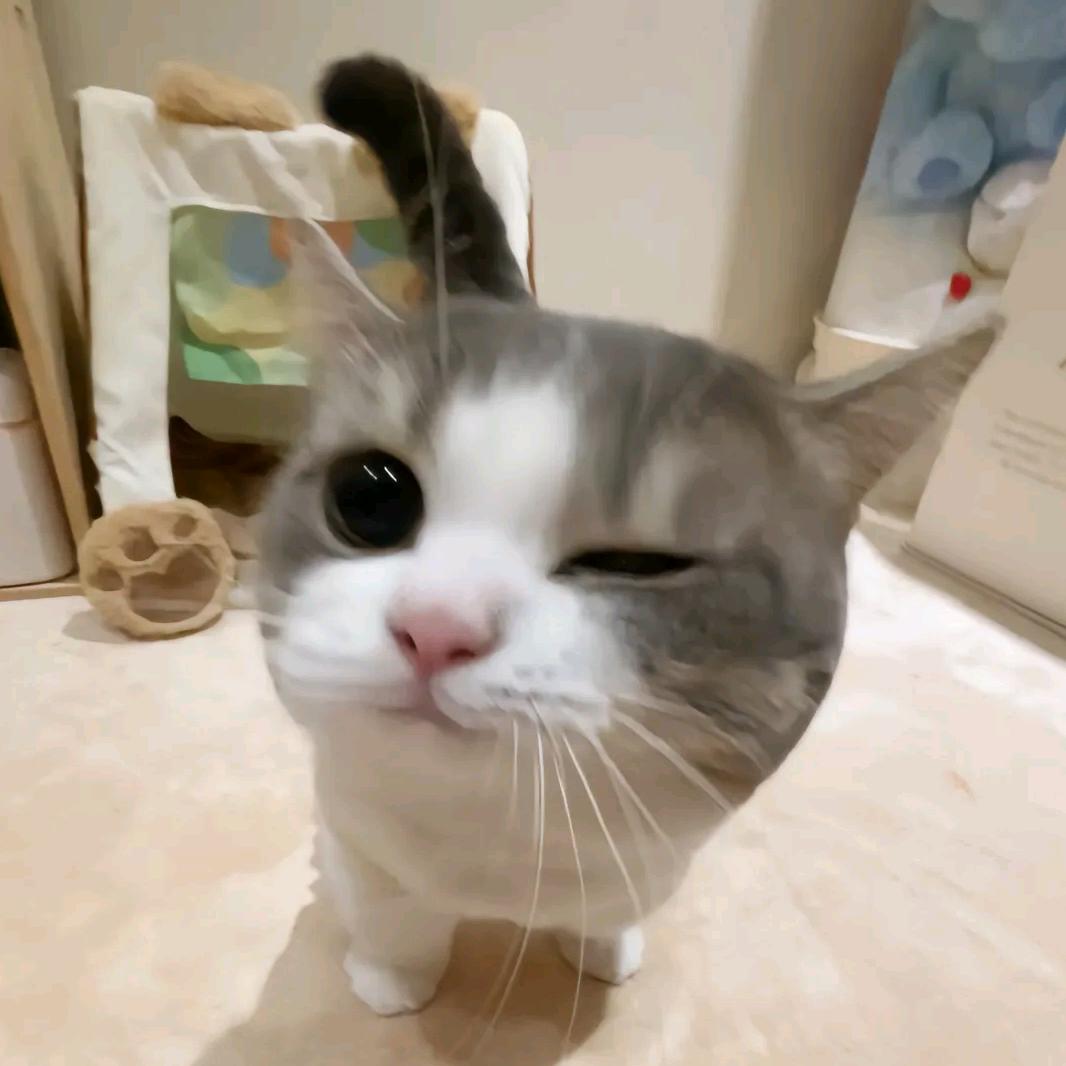 牛馬王（原绝崩）