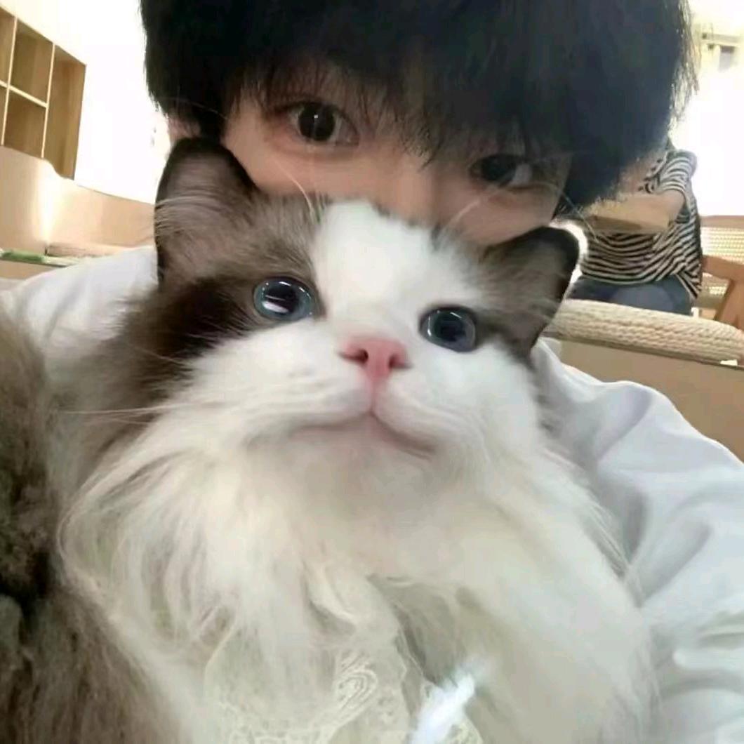 v.