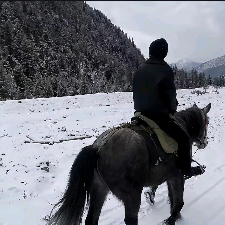 重生之我是煮播