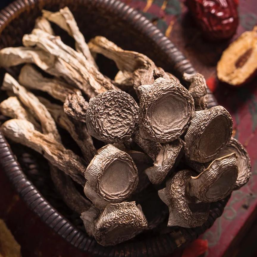 爱养堂鹿茸菇专场