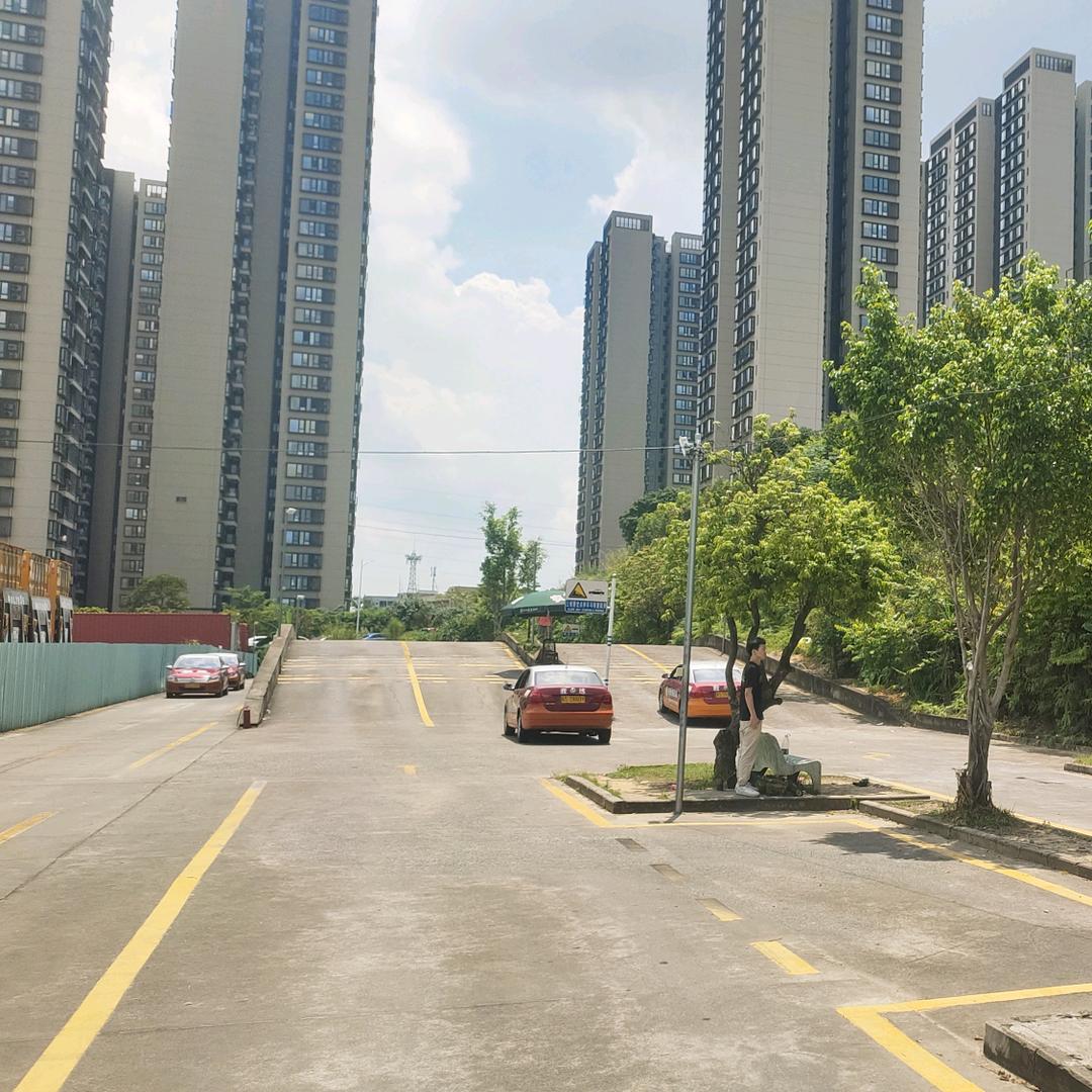 张师傅驾校(华南城店)专用号