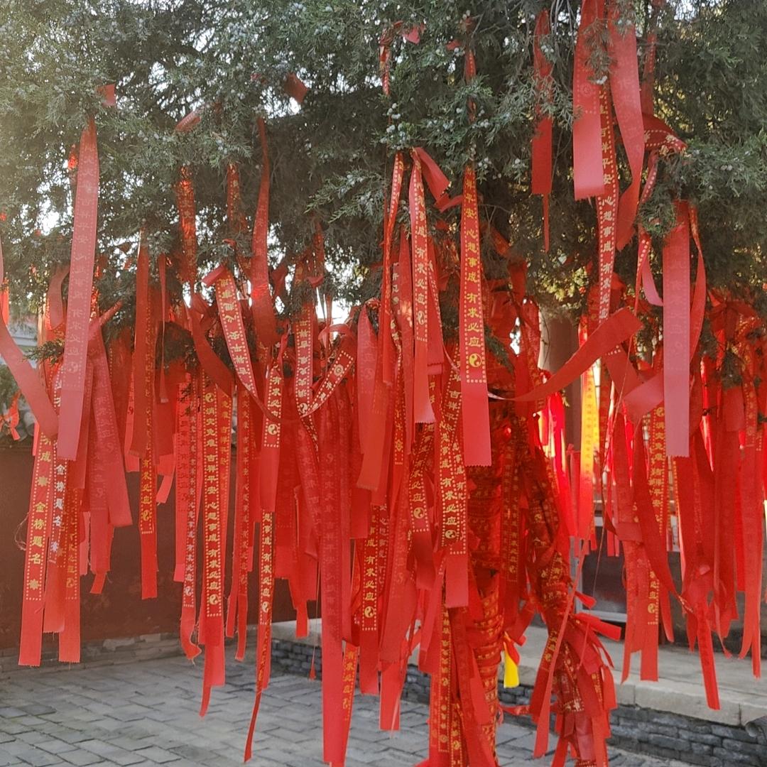 海燕轮胎