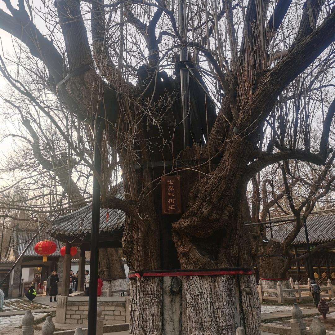 低频