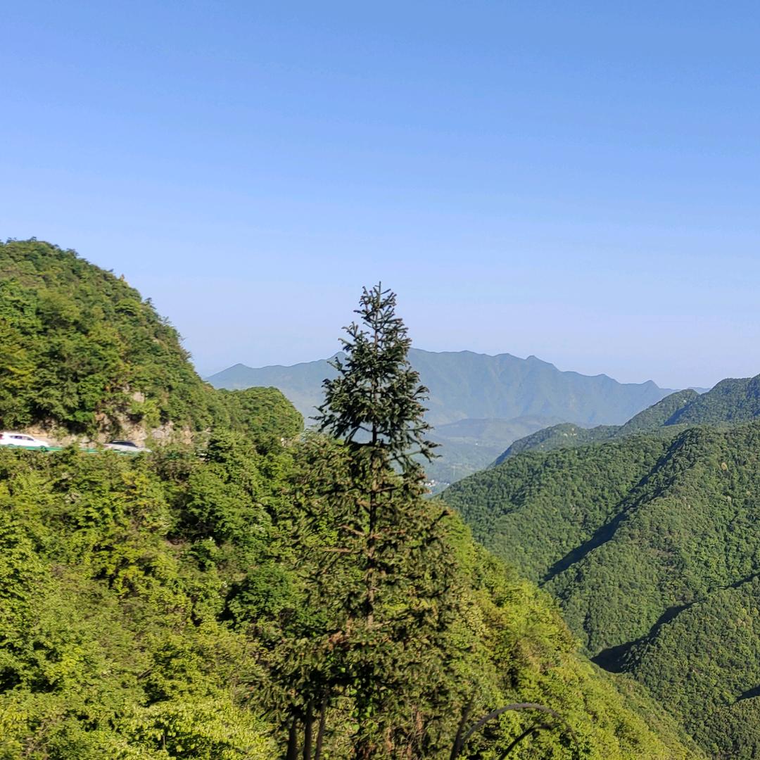 捷富雅（大理石平台）