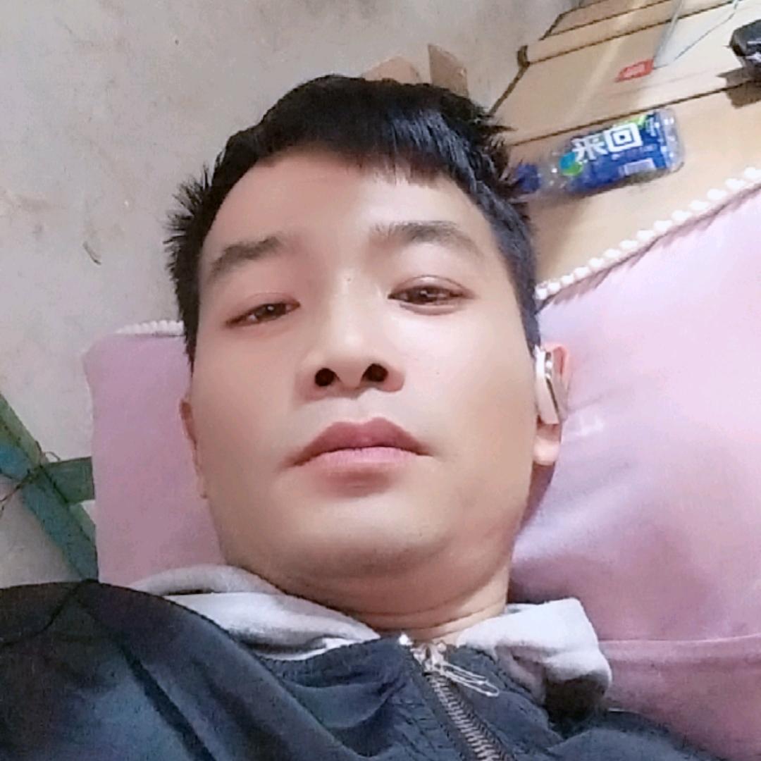 不爱我为何伤害我