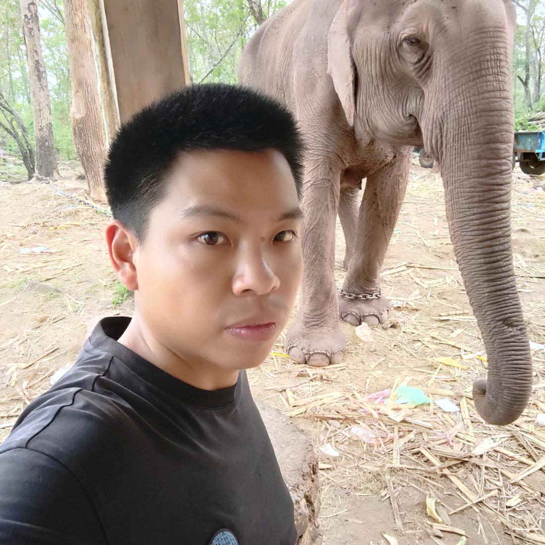 อาร์วิน阿文