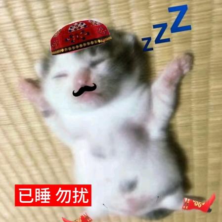 猪咪