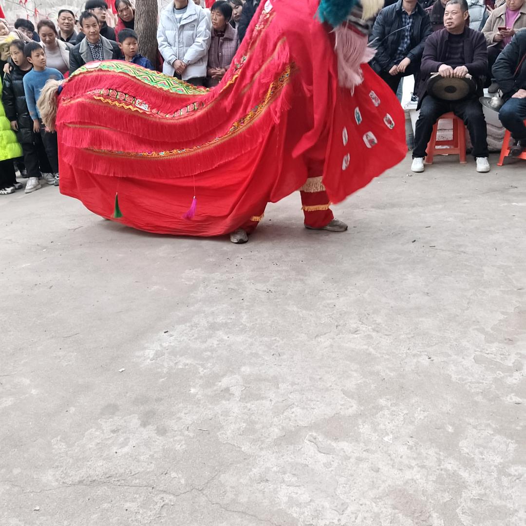 汤扬柱