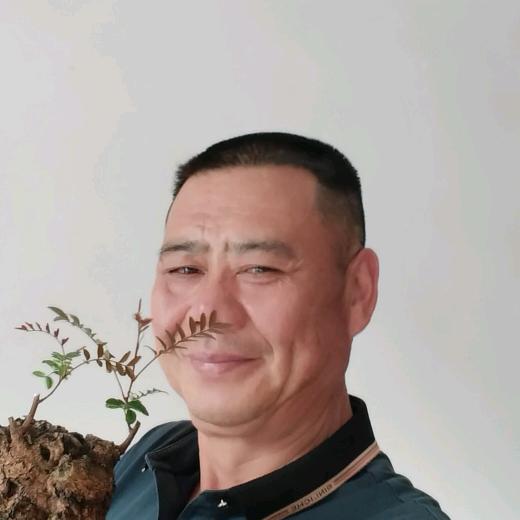 何万益盆景园