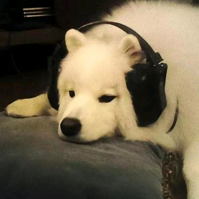 嘿嘿嘿( ˝ᗢ̈˝ )