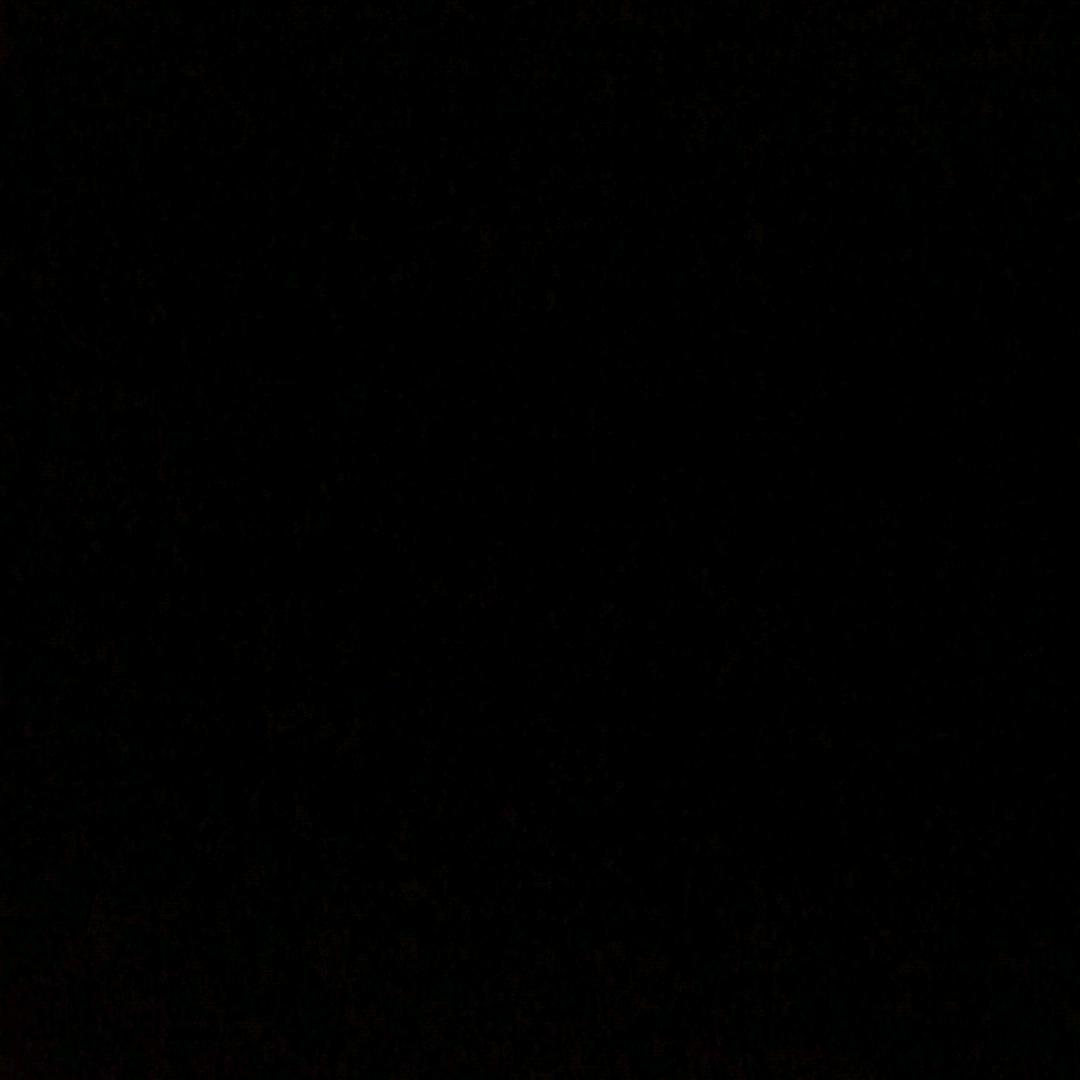 世人皆不由己