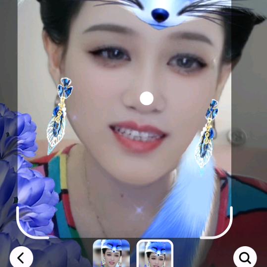 蝴蝶兰