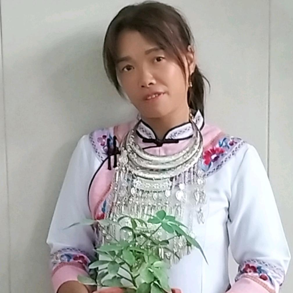 美丽的人生