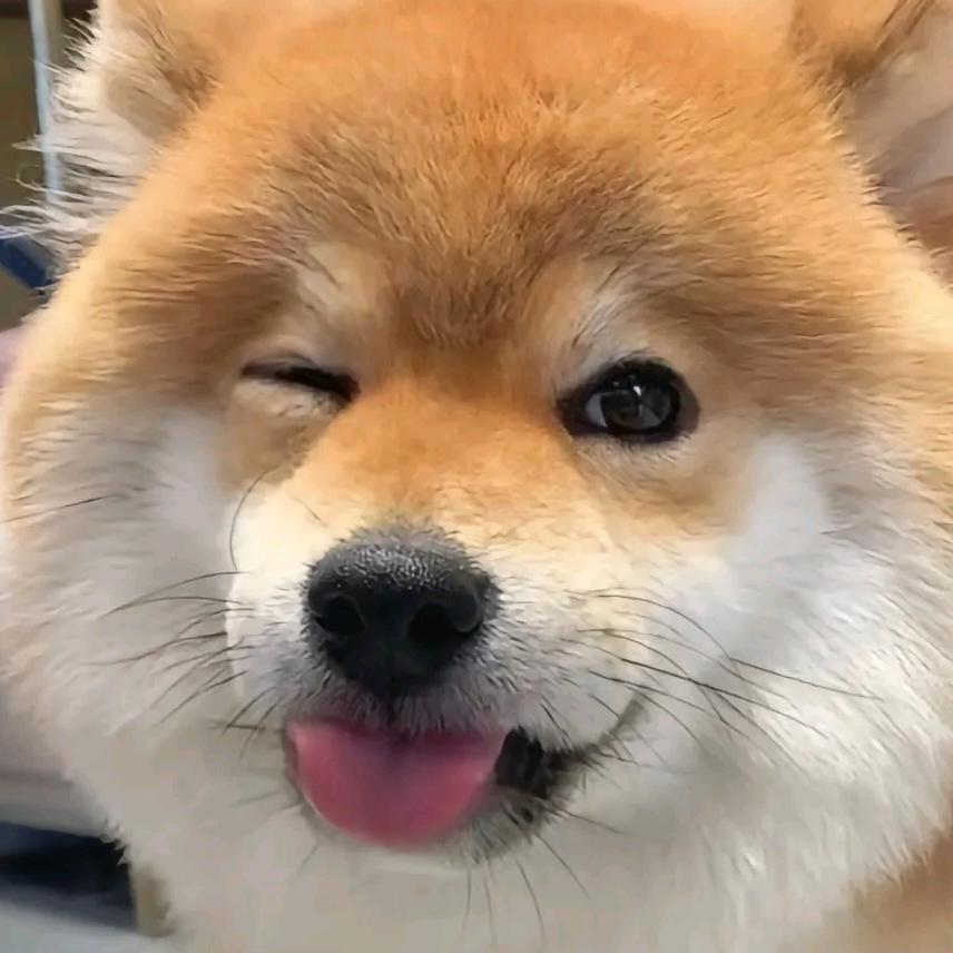 小话唠
