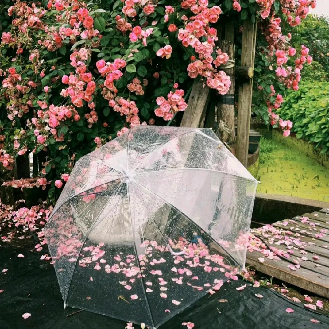 Y(^_^)Y繁华落尽终是悔☆_☆