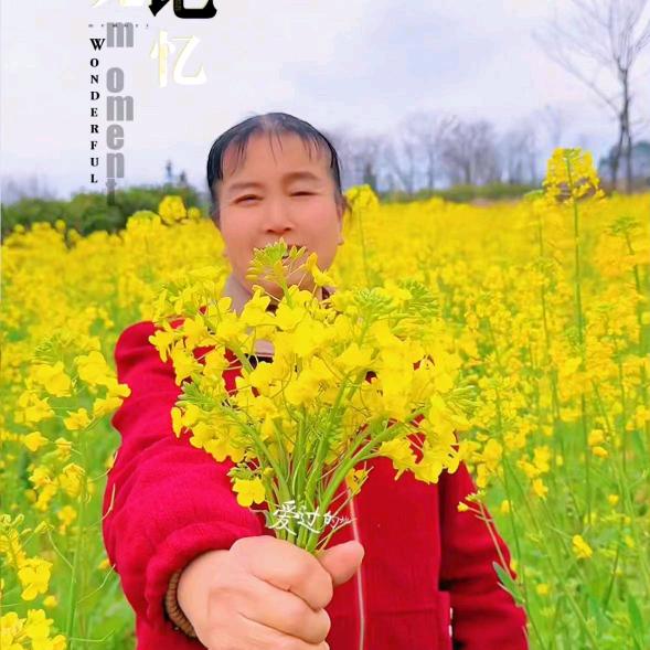 陈老妈