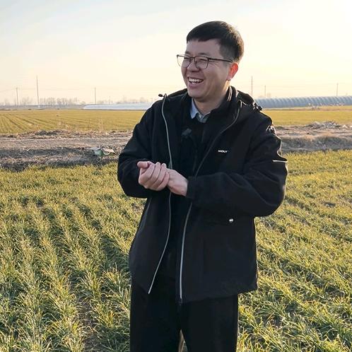 小麦高产技术管理