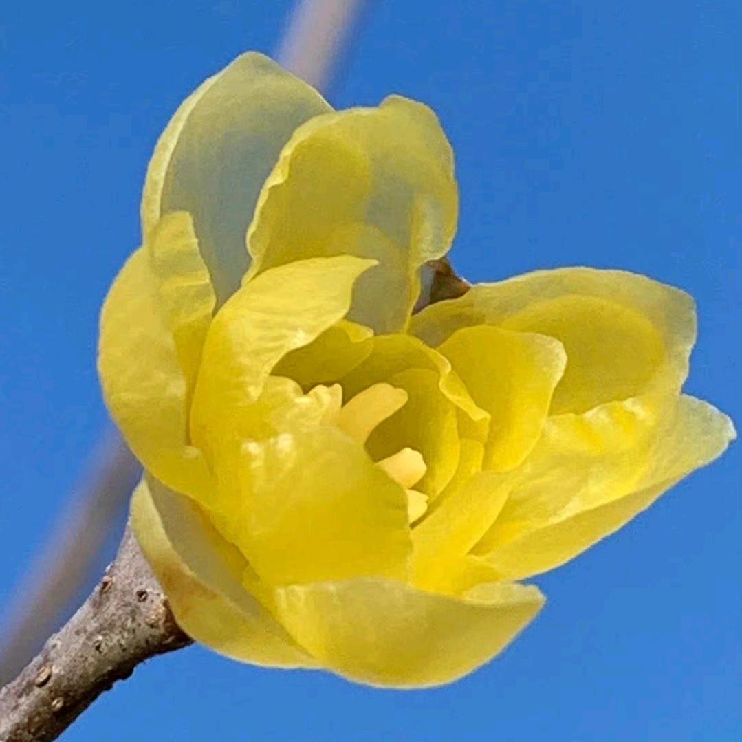 m007192y