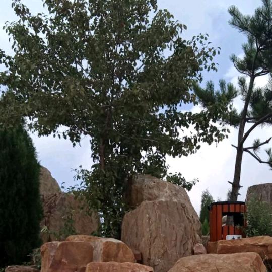 感恩的心关赞就回1805123493