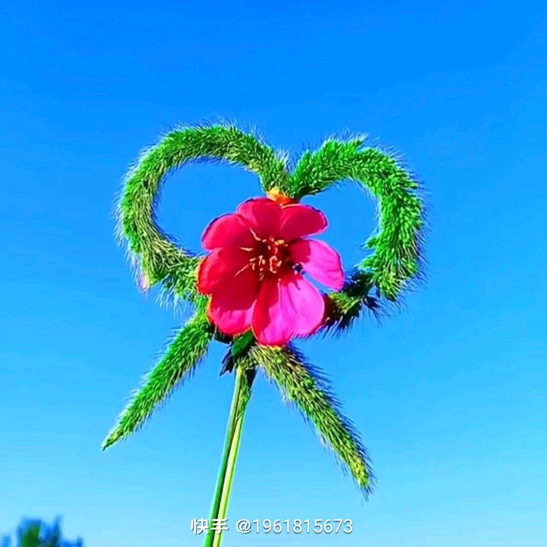正能量马哥
