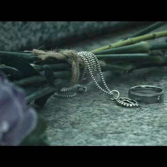 借着月光与你对望