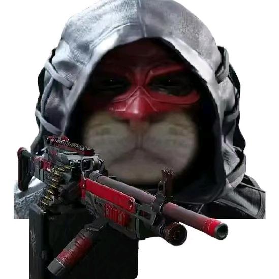 胖猫(三角洲行动）