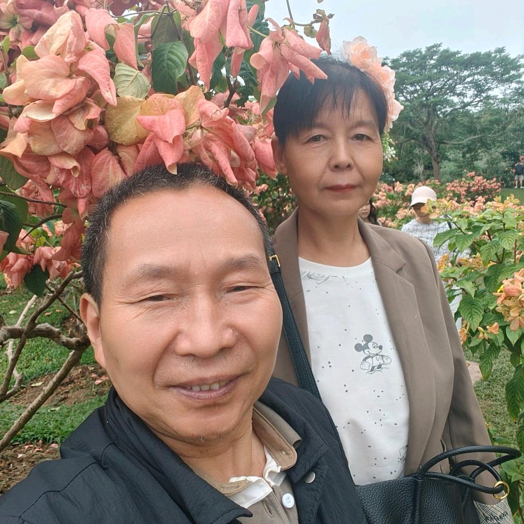 花好月园
