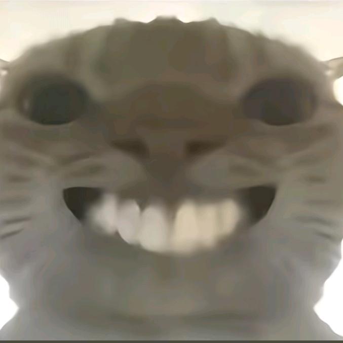 鼠鼠陪你闯世界