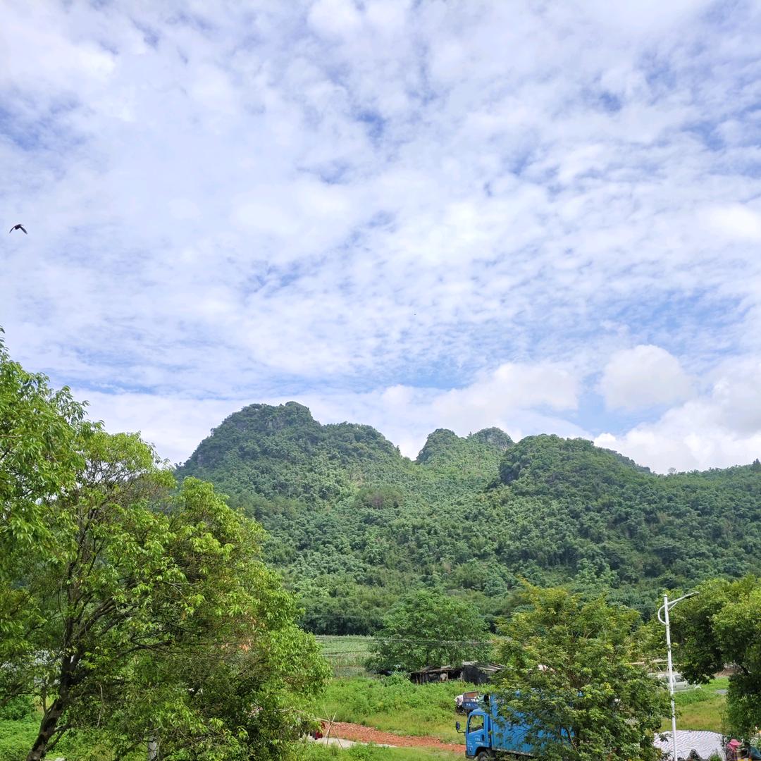 王文科