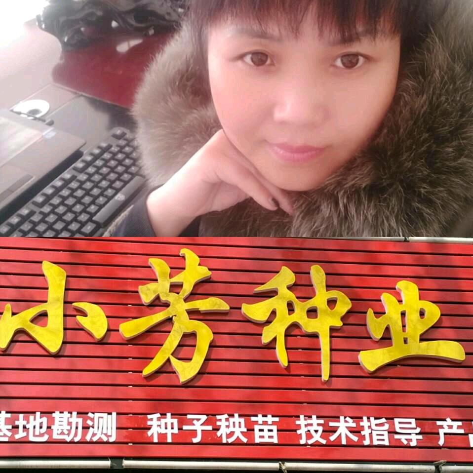 中药材种植小芳种业
