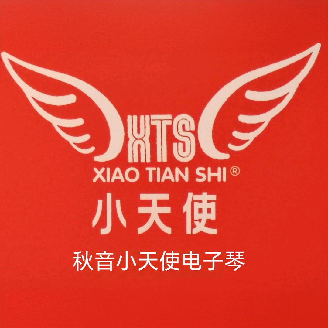 秋音小天使电子琴行