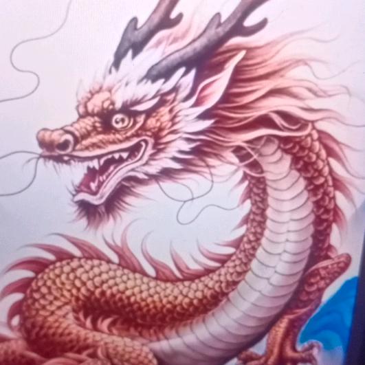 我是龙
