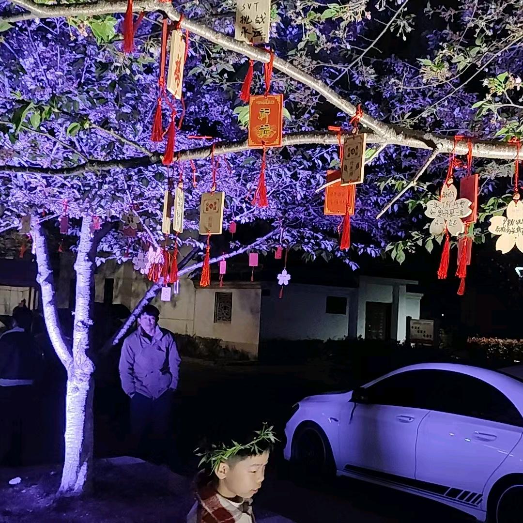 🦋ꦿ໊余生᭄🕊随心᭄ꦿᩚ٭xh