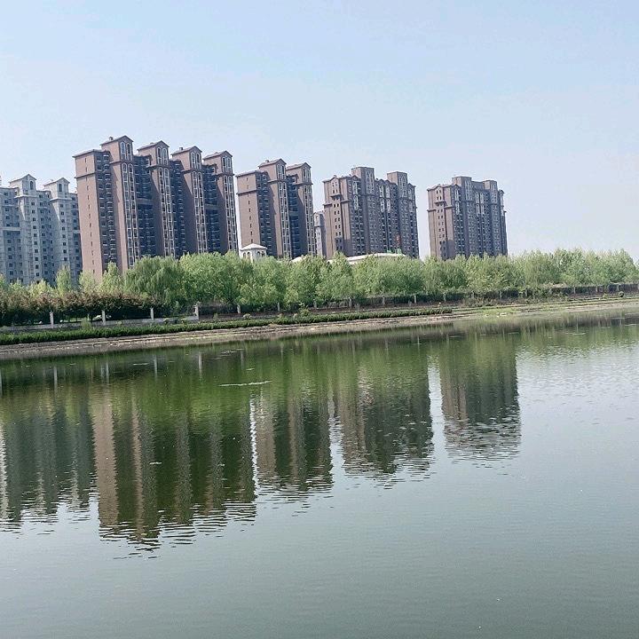 石门楼市三毛