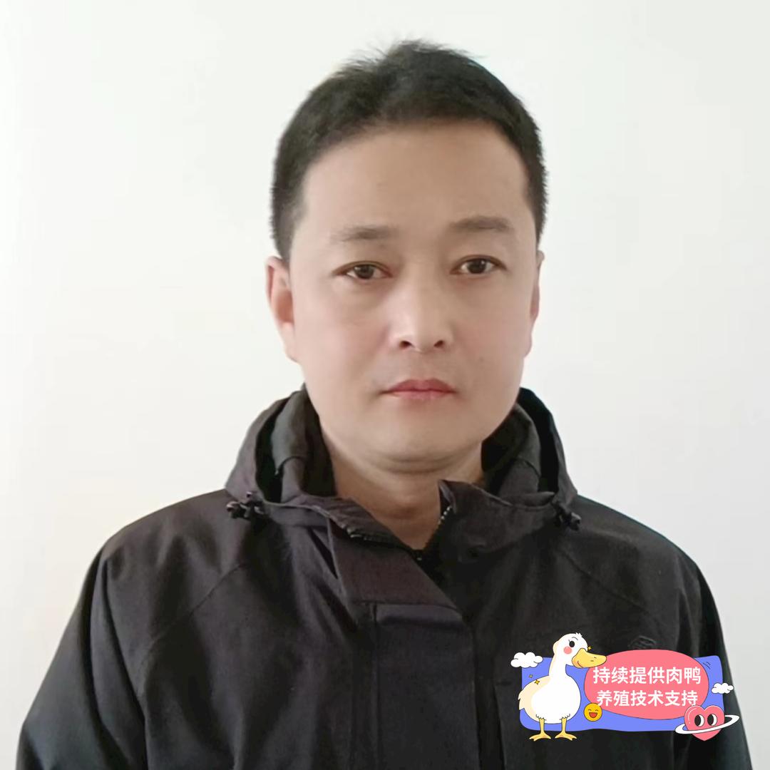 王玉峰聊肉鸭
