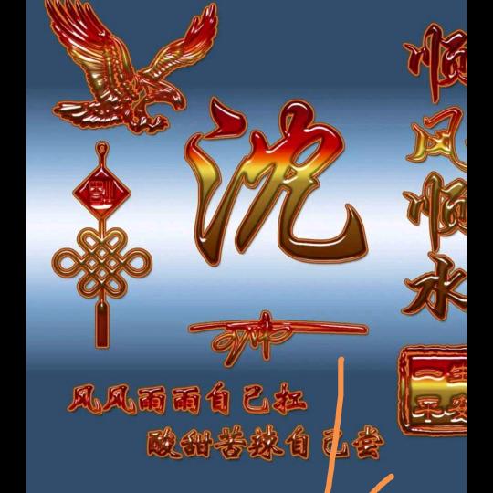 沈家一卒