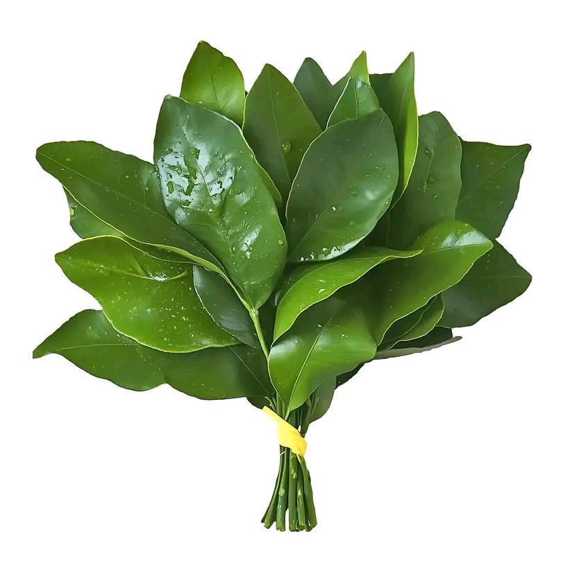 睡澹澹兮生烟