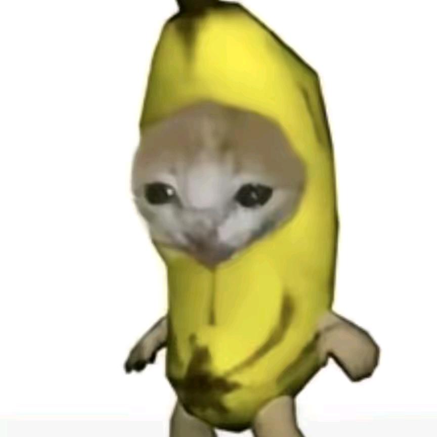 香蕉猫