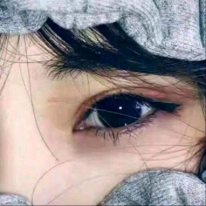 aygul 9093