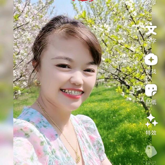 单身三妹