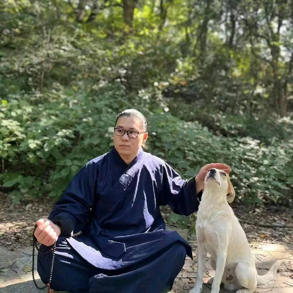 阴阳师