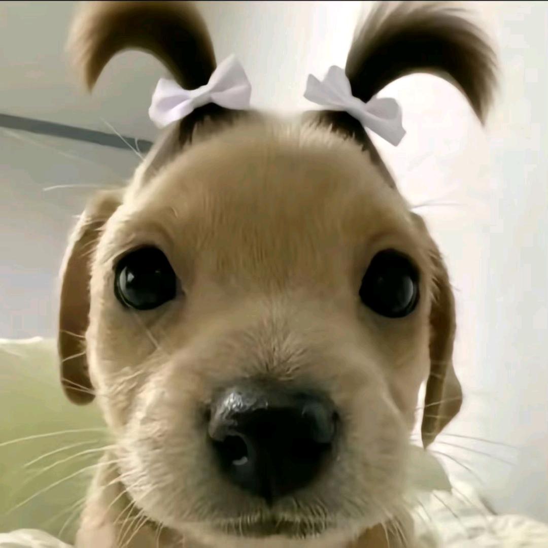 🇮 🇴 🇻 🇪 🇾 🇴 🇺