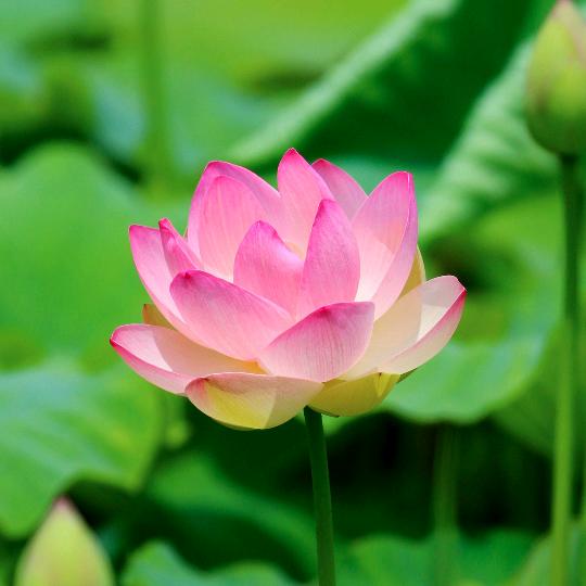 太原专车司机栋