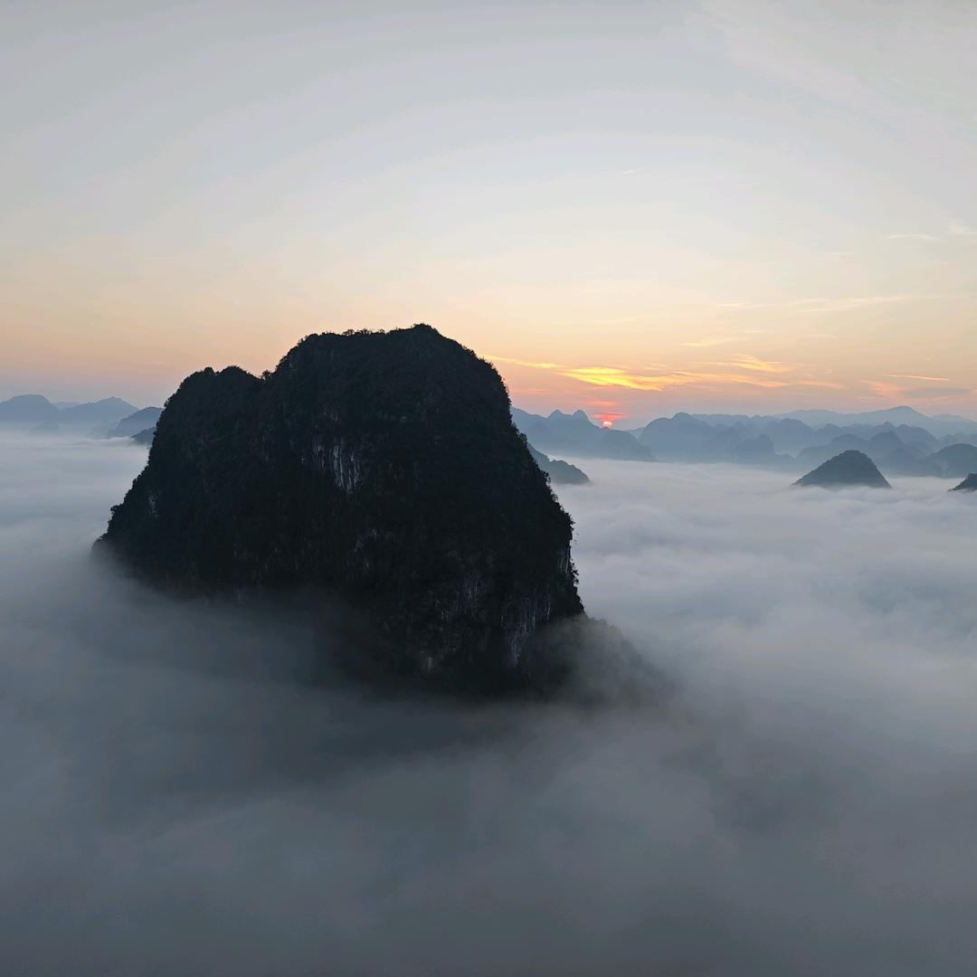 开心果🍬