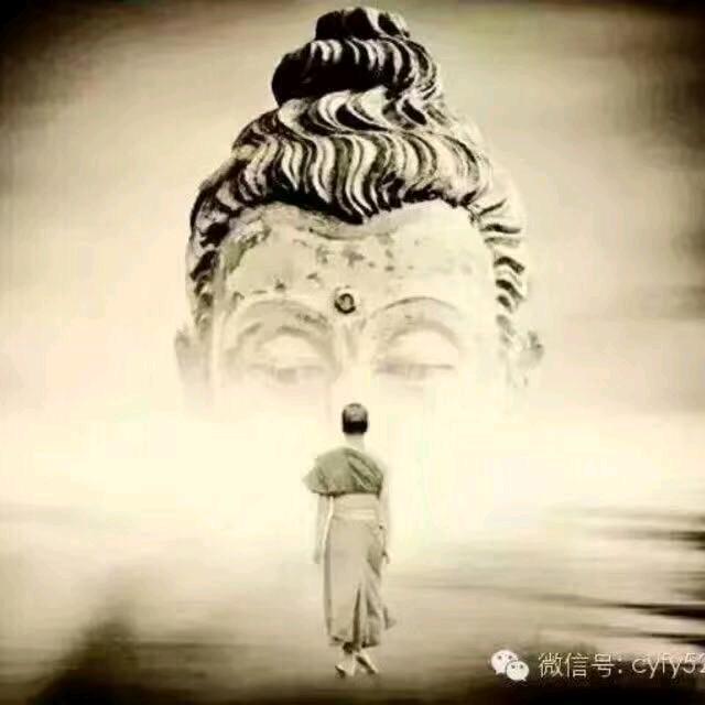这个林