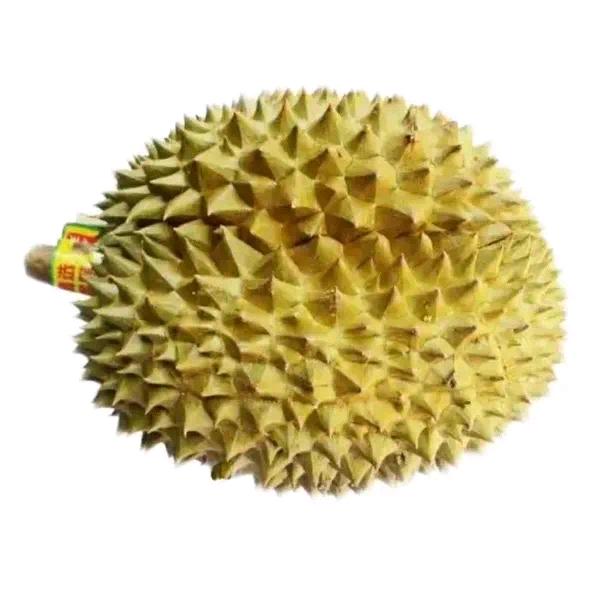 兑换码入口