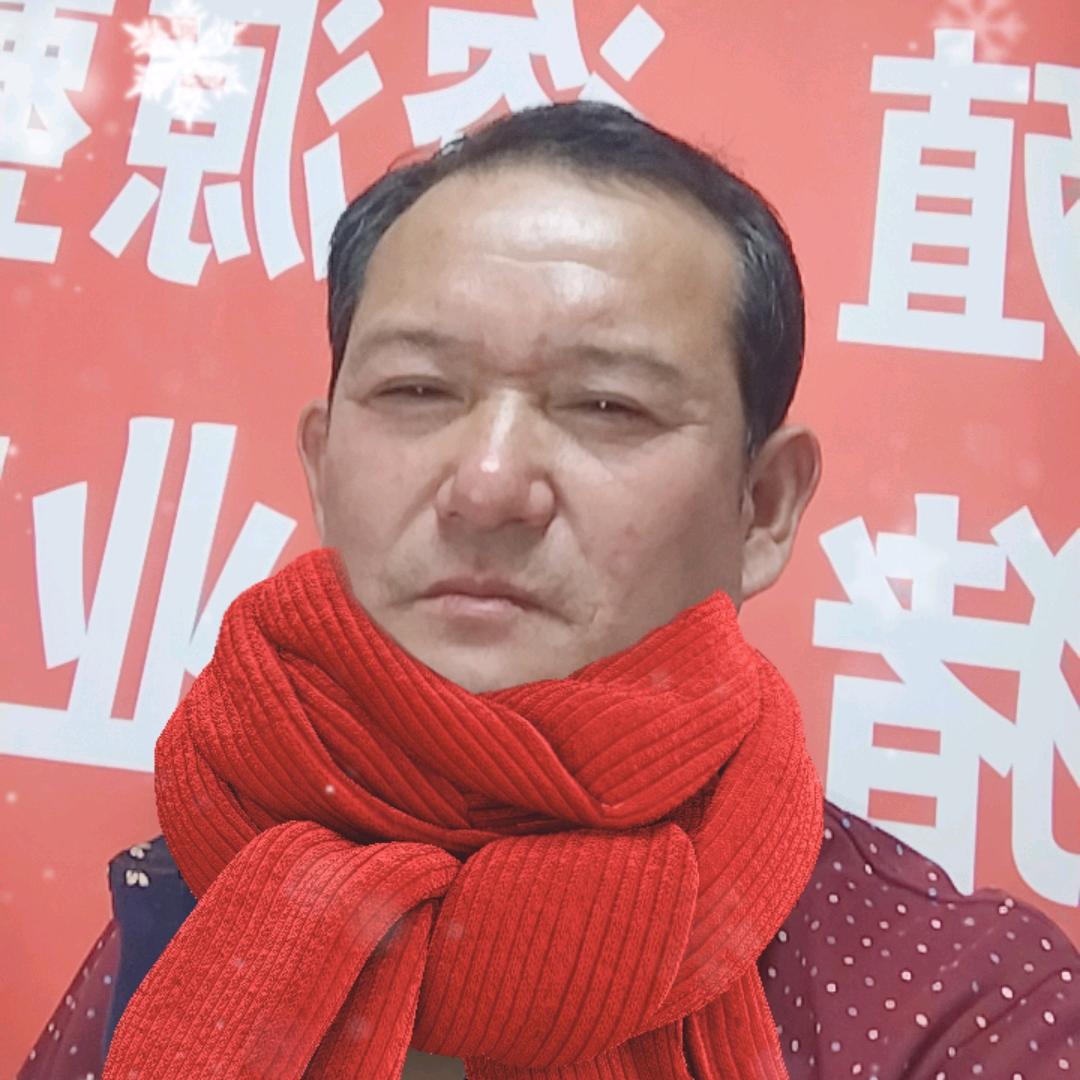猪嘟嘟商业